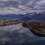 Molli Di
