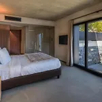 Molli Di *
